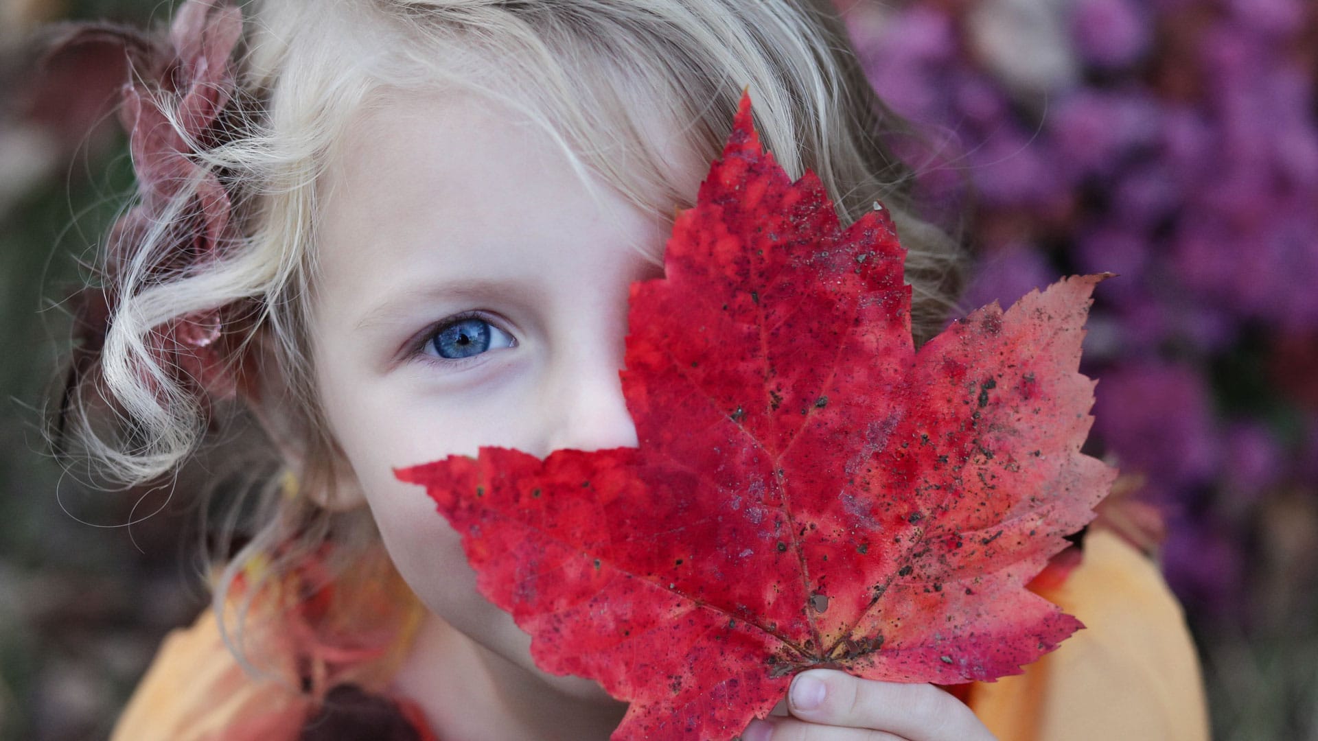 Little girl with autumn leaf